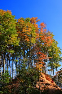 开云体育安卓APK下载-荷兰队备战关键比赛，力争晋级