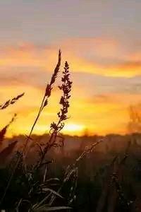 开云体育夜间模式开启-记者：亚沙里将伤缺至少两个月，穆萨的转会已经被叫停，亚沙c队