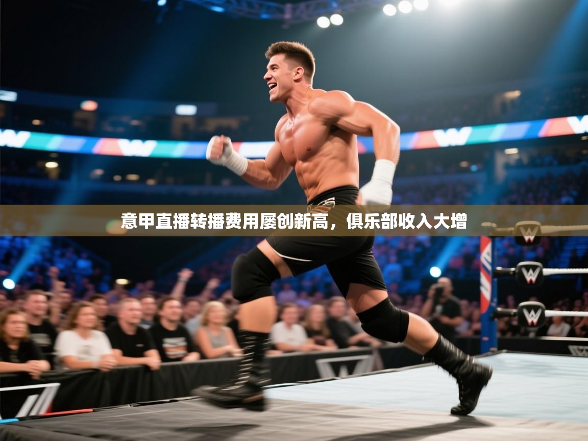 开云体育修改登录密码-意甲直播转播费用屡创新高,俱乐部收入大增 第3张