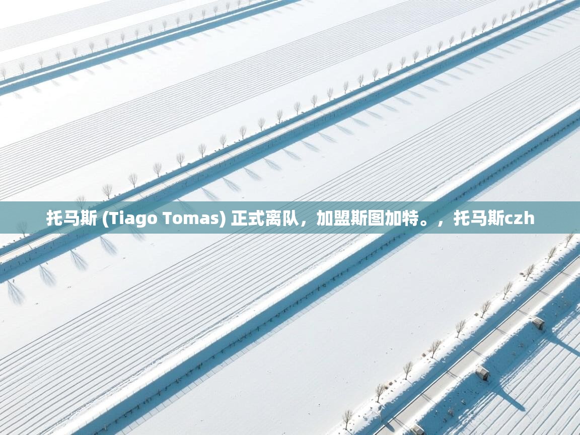 开云官网-托马斯 (Tiago Tomas) 正式离队，加盟斯图加特。，托马斯czh  第3张