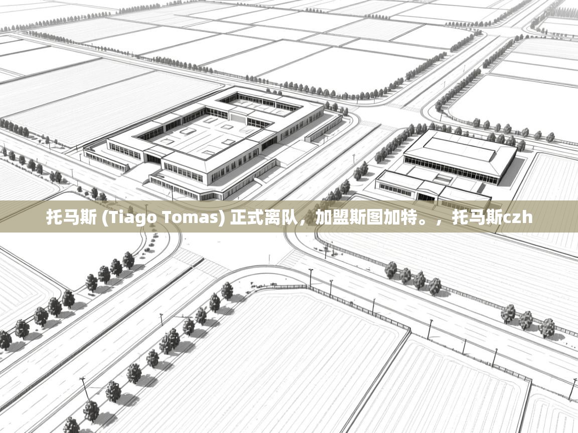 开云官网-托马斯 (Tiago Tomas) 正式离队，加盟斯图加特。，托马斯czh  第4张