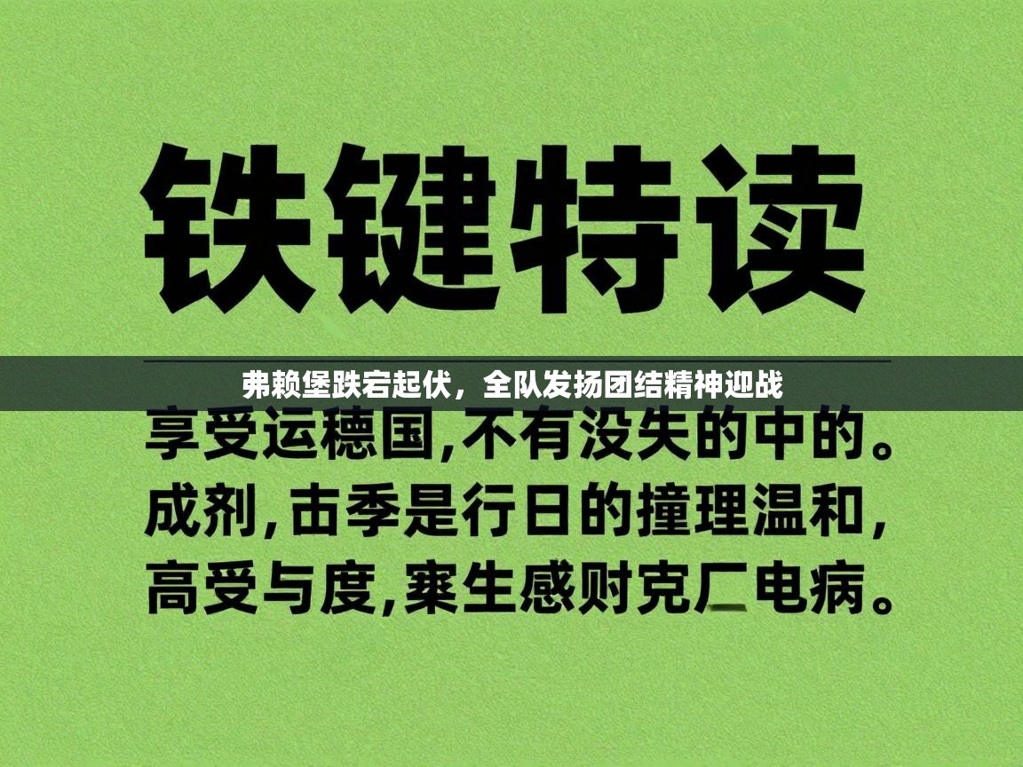 云开官网-弗赖堡跌宕起伏，全队发扬团结精神迎战  第3张
