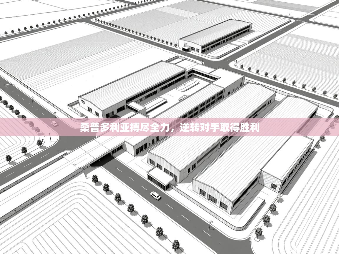 开云体育app下载官网-桑普多利亚搏尽全力,逆转对手取得胜利 第3张